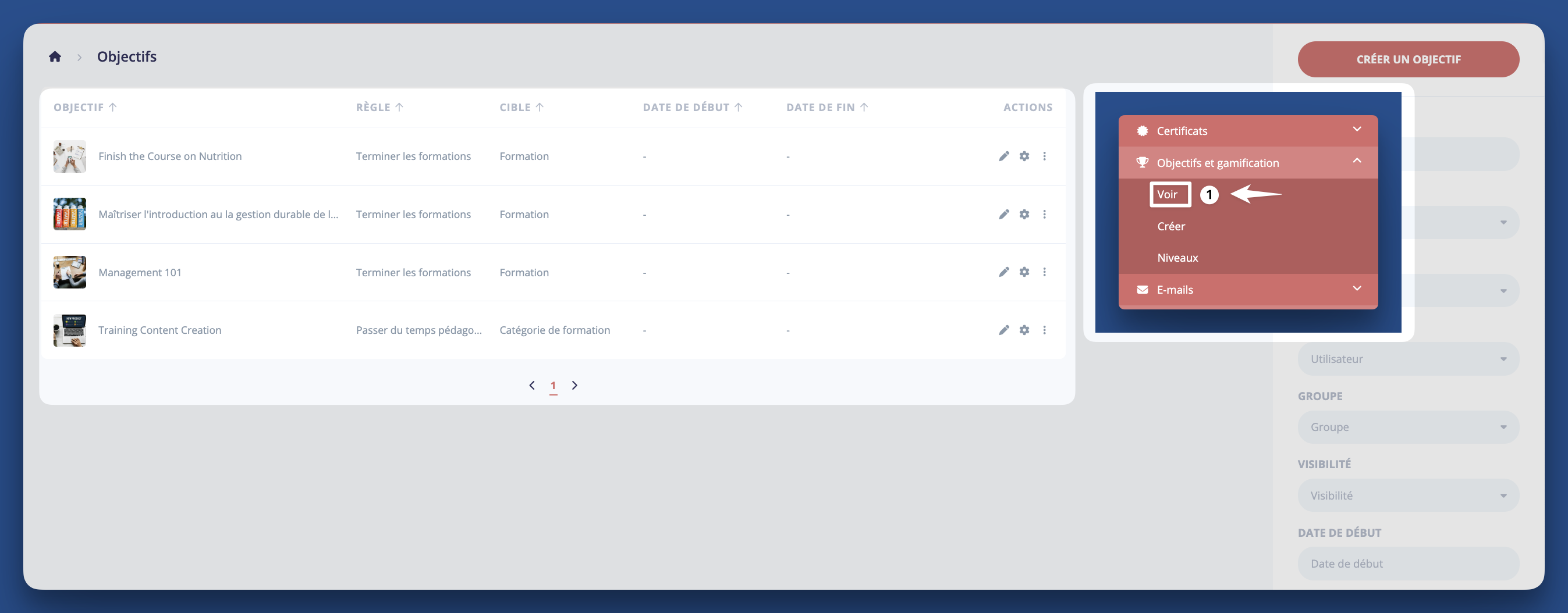 Goals_overview_fr.png