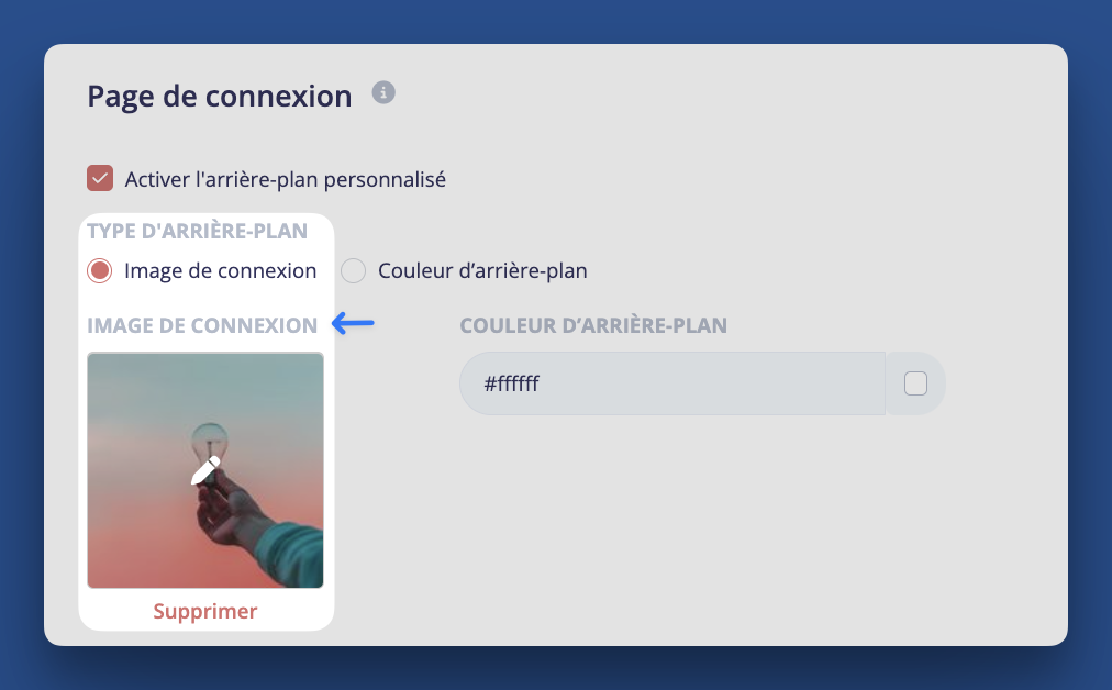 Custom_custommobileapplandingpage_fr.png