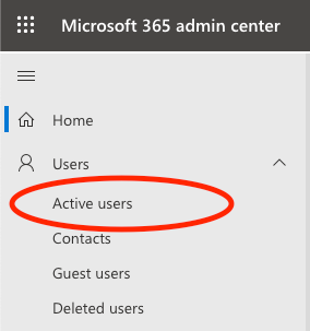 Active users tab